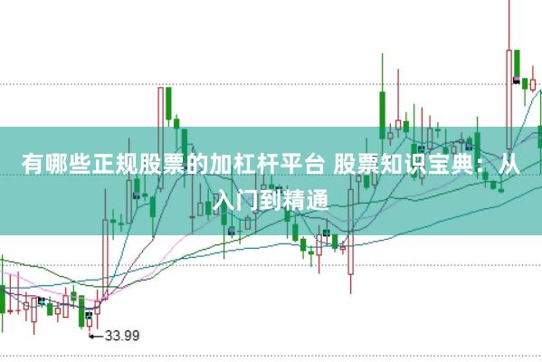 有哪些正规股票的加杠杆平台 股票知识宝典：从入门到精通