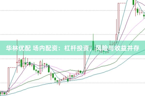 华林优配 场内配资：杠杆投资，风险与收益并存