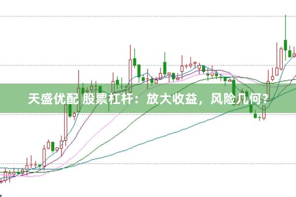天盛优配 股票杠杆：放大收益，风险几何？