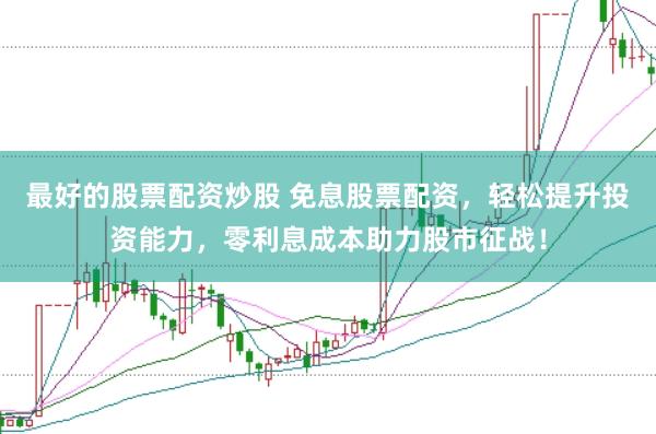 最好的股票配资炒股 免息股票配资，轻松提升投资能力，零利息成本助力股市征战！