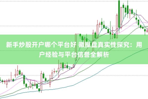 新手炒股开户哪个平台好 徽操盘真实性探究：用户经验与平台信誉全解析