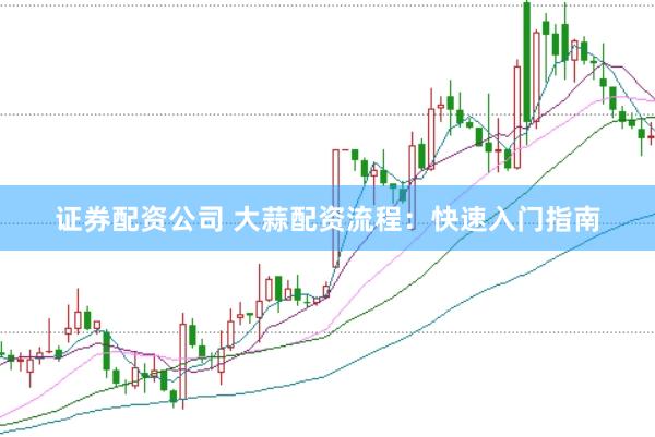 证券配资公司 大蒜配资流程：快速入门指南