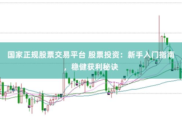 国家正规股票交易平台 股票投资：新手入门指南，稳健获利秘诀