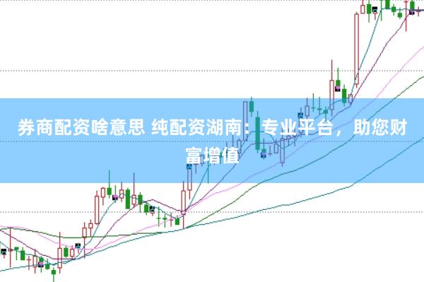 券商配资啥意思 纯配资湖南：专业平台，助您财富增值