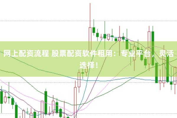网上配资流程 股票配资软件租用：专业平台，灵活选择！