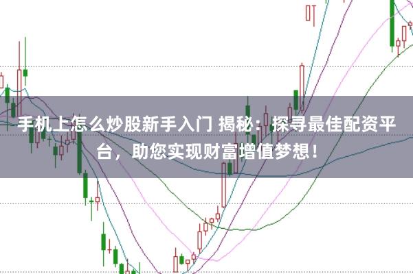 手机上怎么炒股新手入门 揭秘：探寻最佳配资平台，助您实现财富增值梦想！