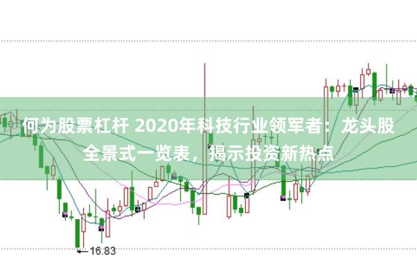何为股票杠杆 2020年科技行业领军者：龙头股全景式一览表，揭示投资新热点