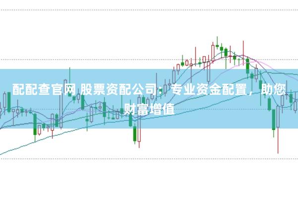 配配查官网 股票资配公司：专业资金配置，助您财富增值