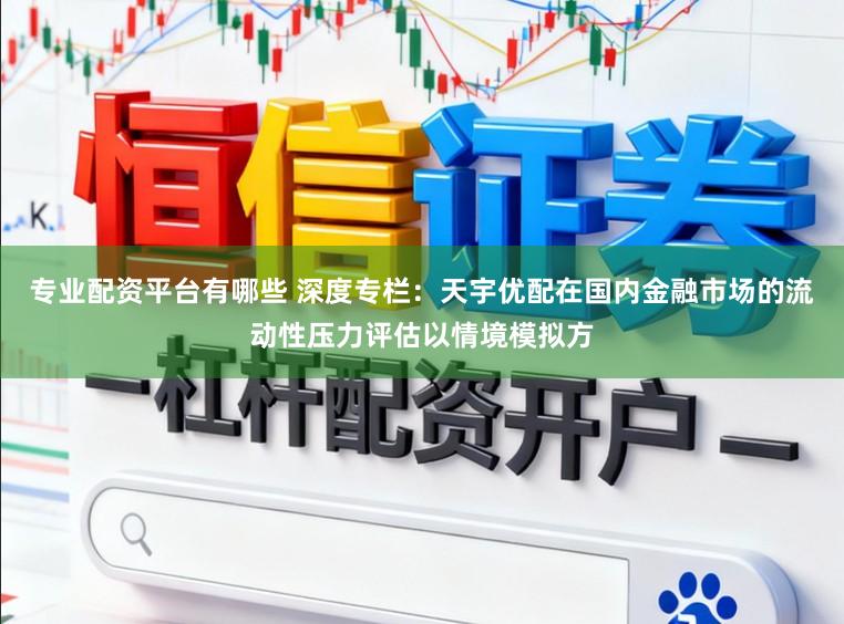 专业配资平台有哪些 深度专栏：天宇优配在国内金融市场的流动性压力评估以情境模拟方