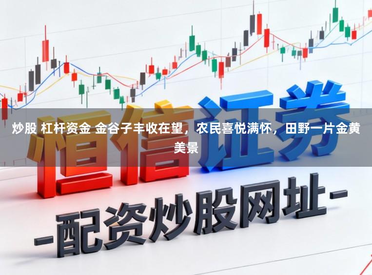 炒股 杠杆资金 金谷子丰收在望，农民喜悦满怀，田野一片金黄美景