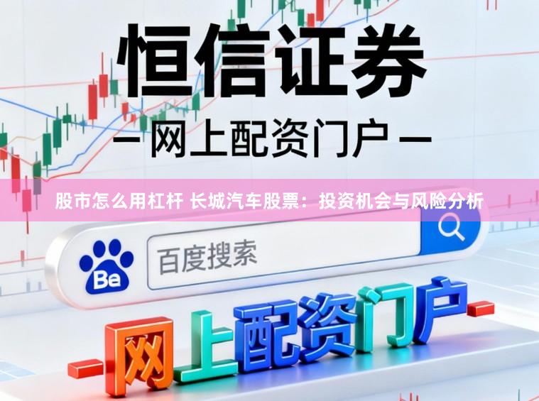 股市怎么用杠杆 长城汽车股票：投资机会与风险分析
